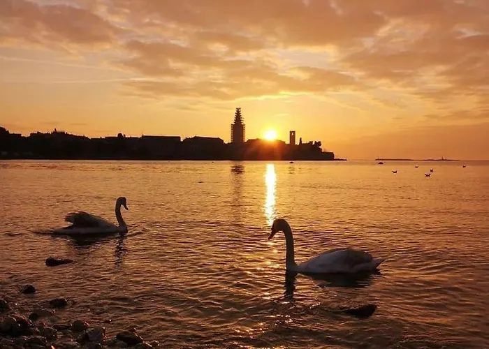 Apartman Away From 2